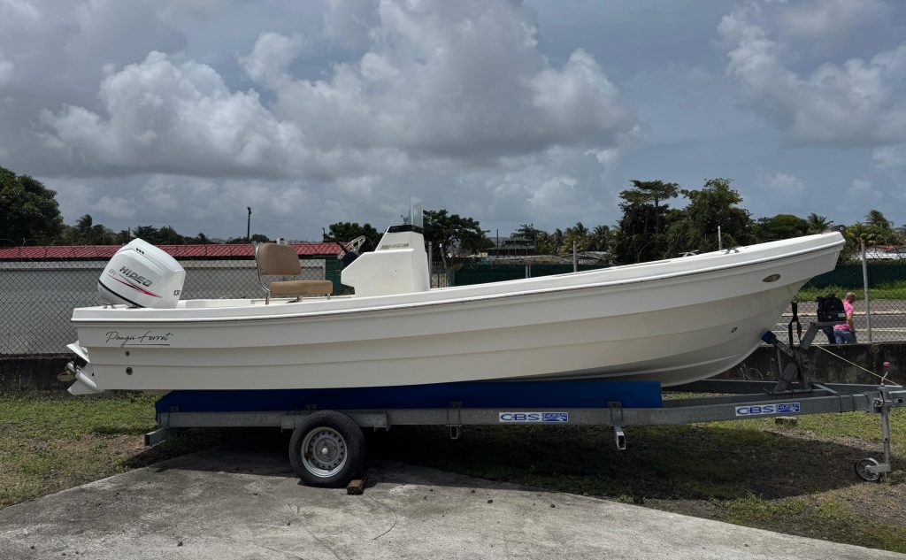 Panga Ferret 22 Pro Open