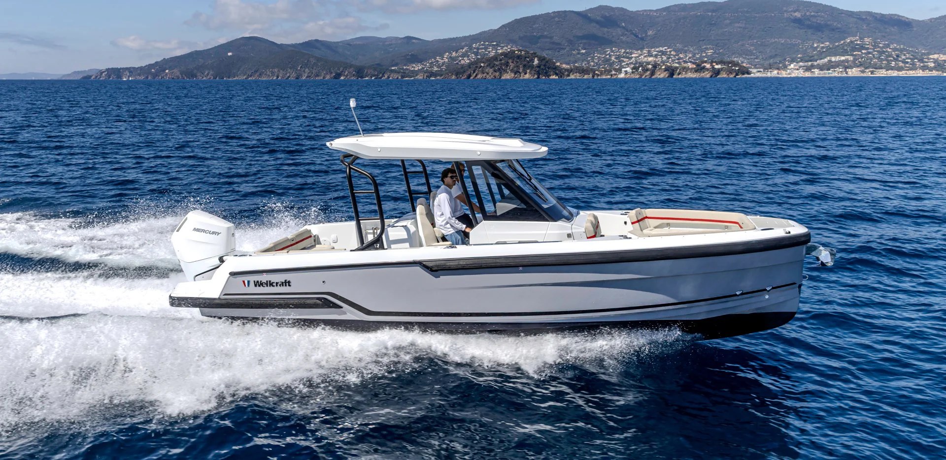 Wellcraft 28 T-Top
