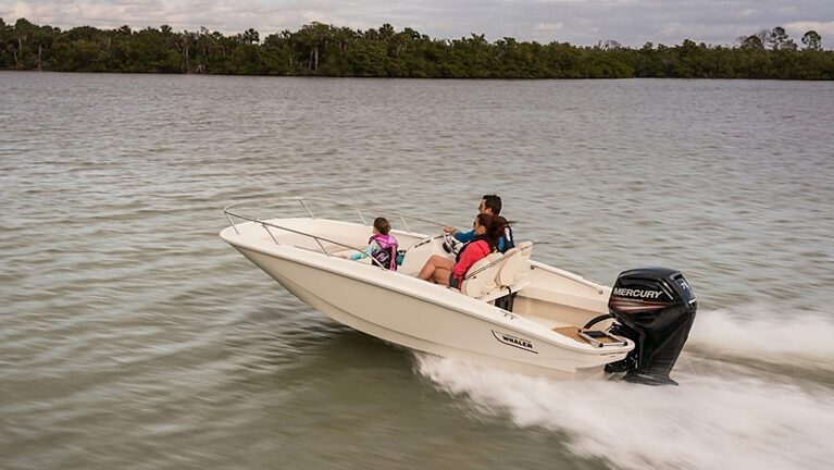 Boston Whaler 16 SS